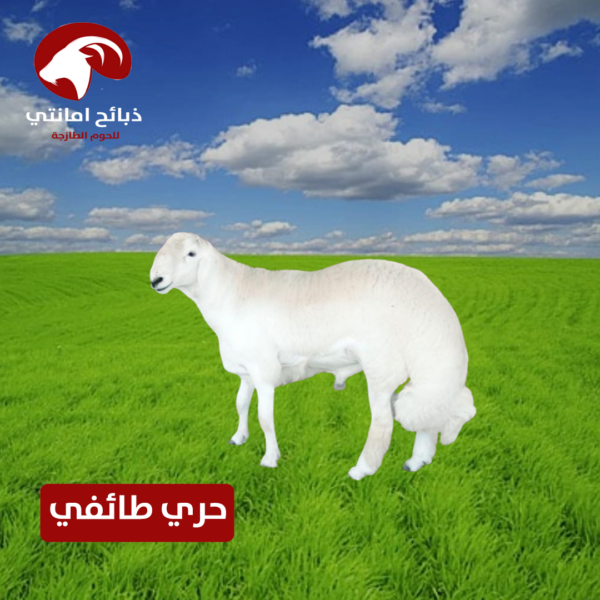 حري طائفي