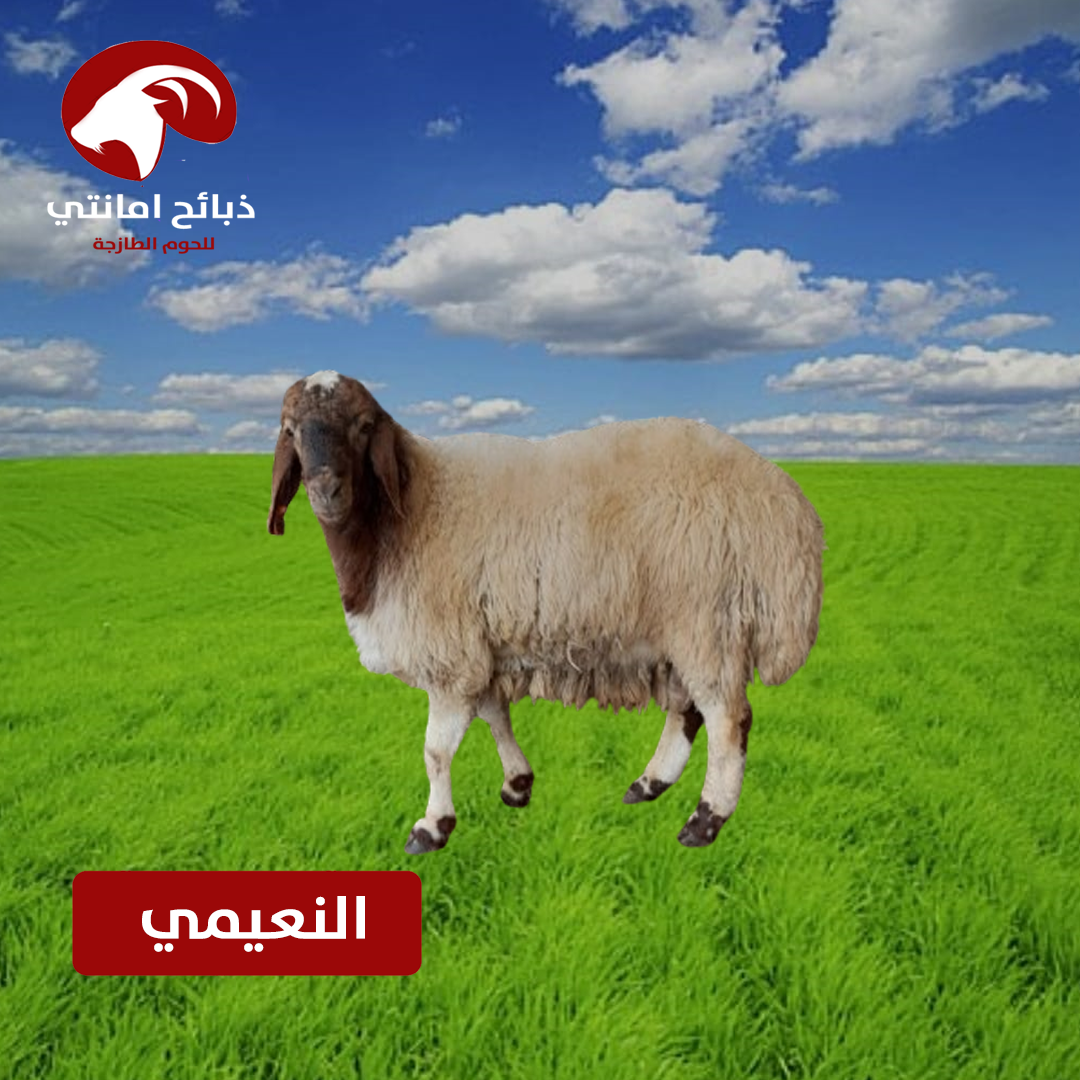نعيمي
